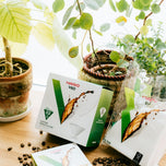 hario v60 new packaging
