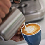 SAGE The Barista Express™ - Zwarte Roes