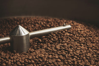 How Moisture Content Affects Roast Consistency