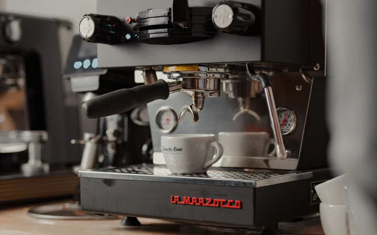 La Marzocco Linea MINI Review: De Prijs Waard? – Zwarte Roes