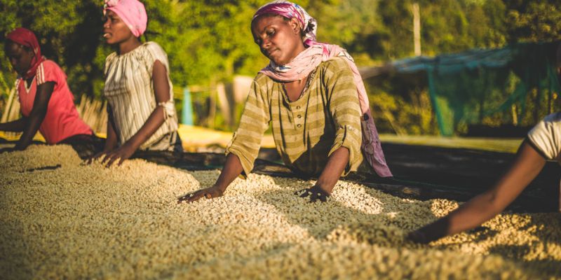 Raro Nansebo uit Ethiopië