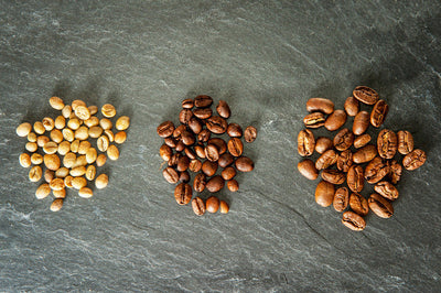 Waarom Wij Geen Donkere Koffie Branden