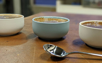 Cupping and the Evaluation of Specialty Coffee: Unraveling the Secrets of Specialty Coffee 