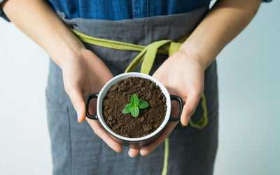 5 Creative Ways to Reuse Used Ground Coffee 