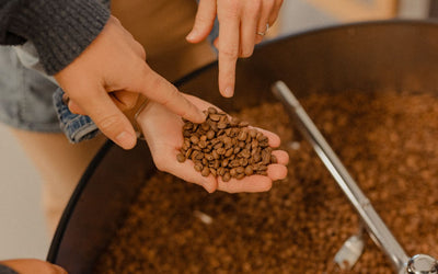 What qualifies as specialty coffee? 